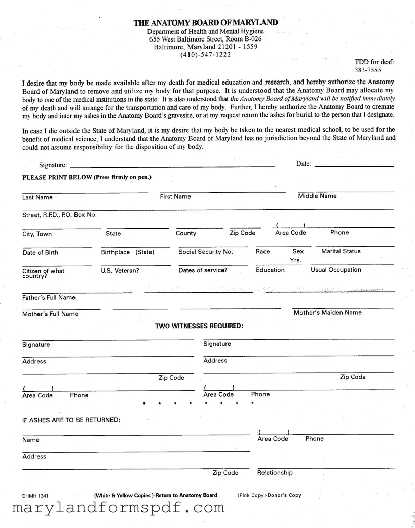 Maryland Anatomy PDF Template
