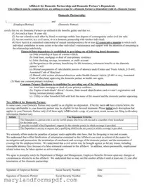 Maryland Domestic Partnership PDF Template